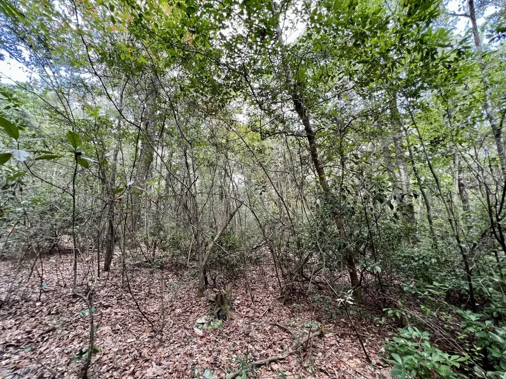 0 Bear Fork Road Mobile AL 36618