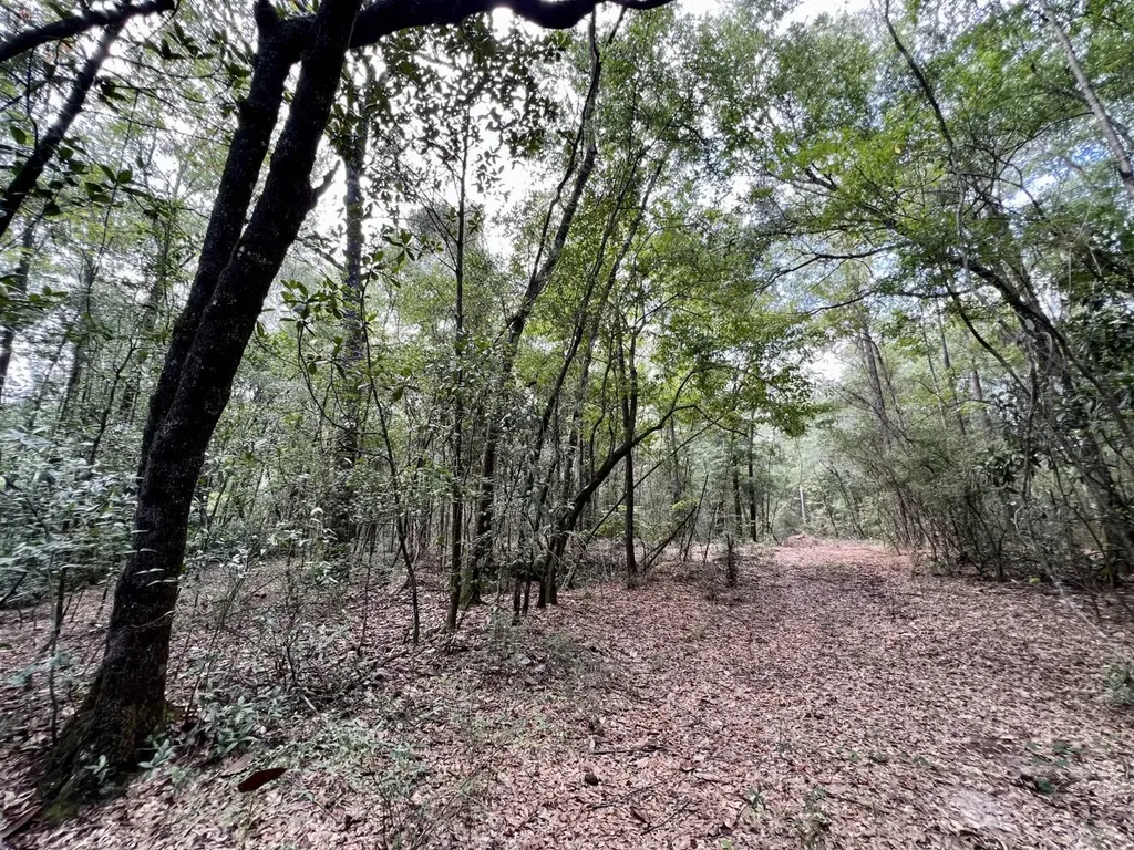 0 Bear Fork Road Mobile AL 36618