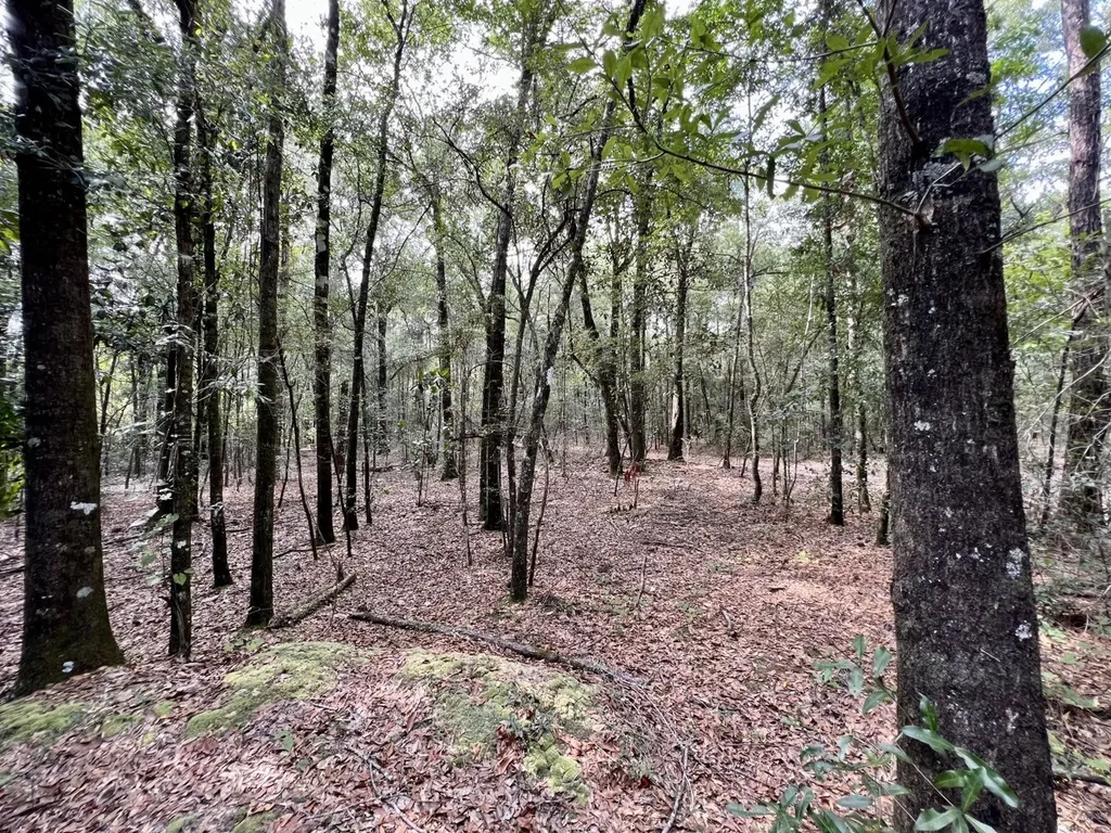 0 Bear Fork Road Mobile AL 36618