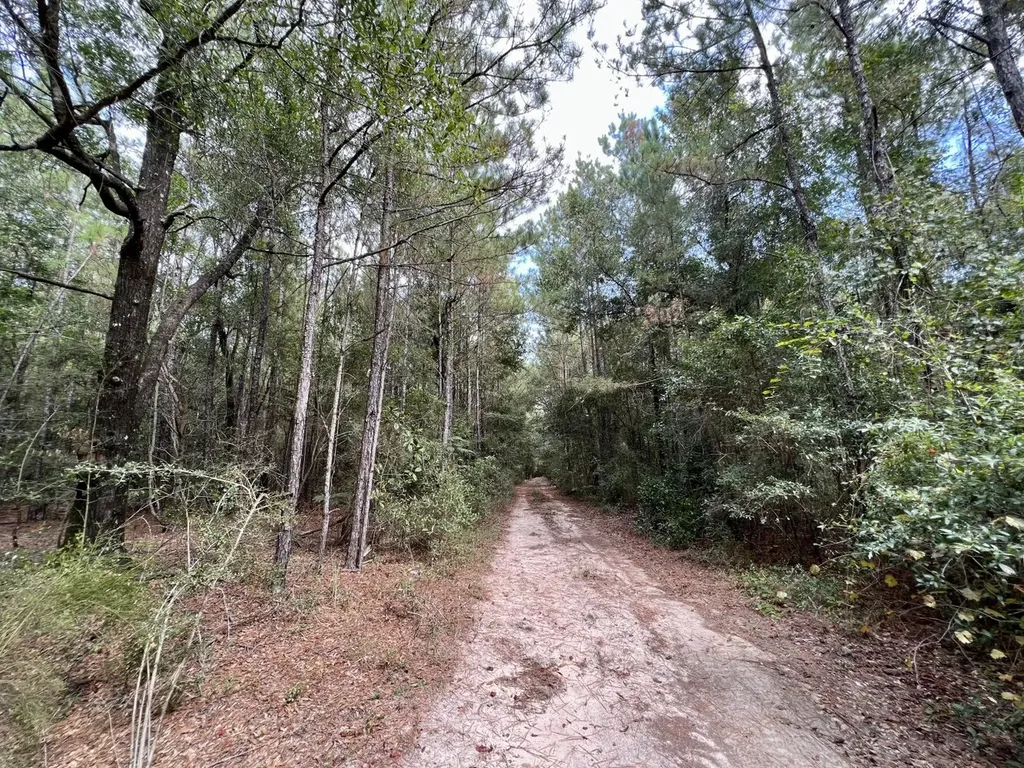 0 Bear Fork Road Mobile AL 36618