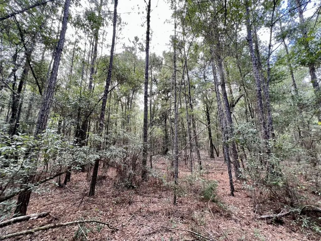 0 Bear Fork Road Mobile AL 36618