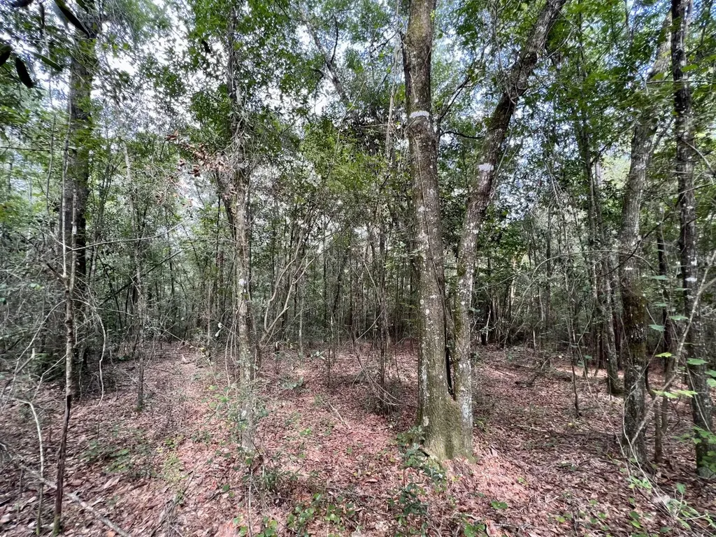 0 Bear Fork Road Mobile AL 36618