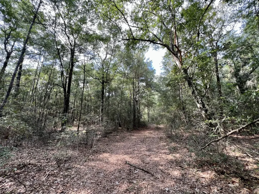 0 Bear Fork Road Mobile AL 36618