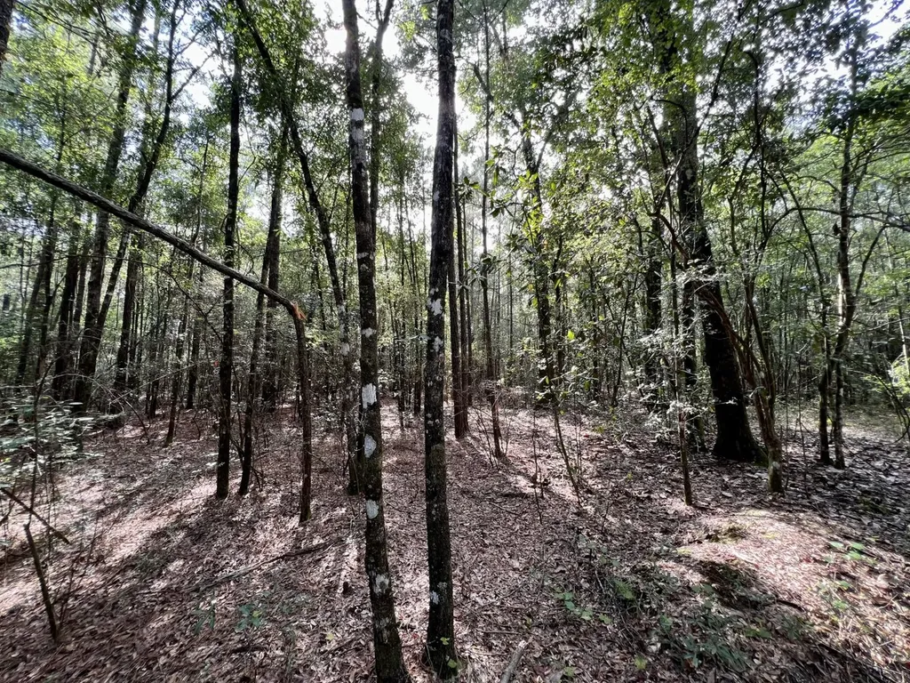 0 Bear Fork Road Mobile AL 36618