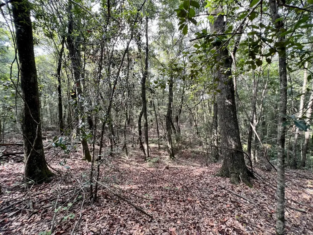 0 Bear Fork Road Mobile AL 36618