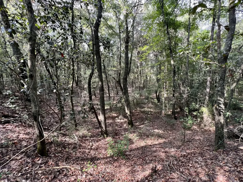 0 Bear Fork Road Mobile AL 36618