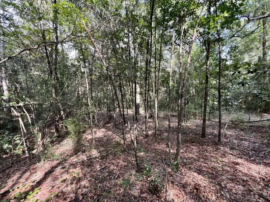 0 Bear Fork Road Mobile AL 36618