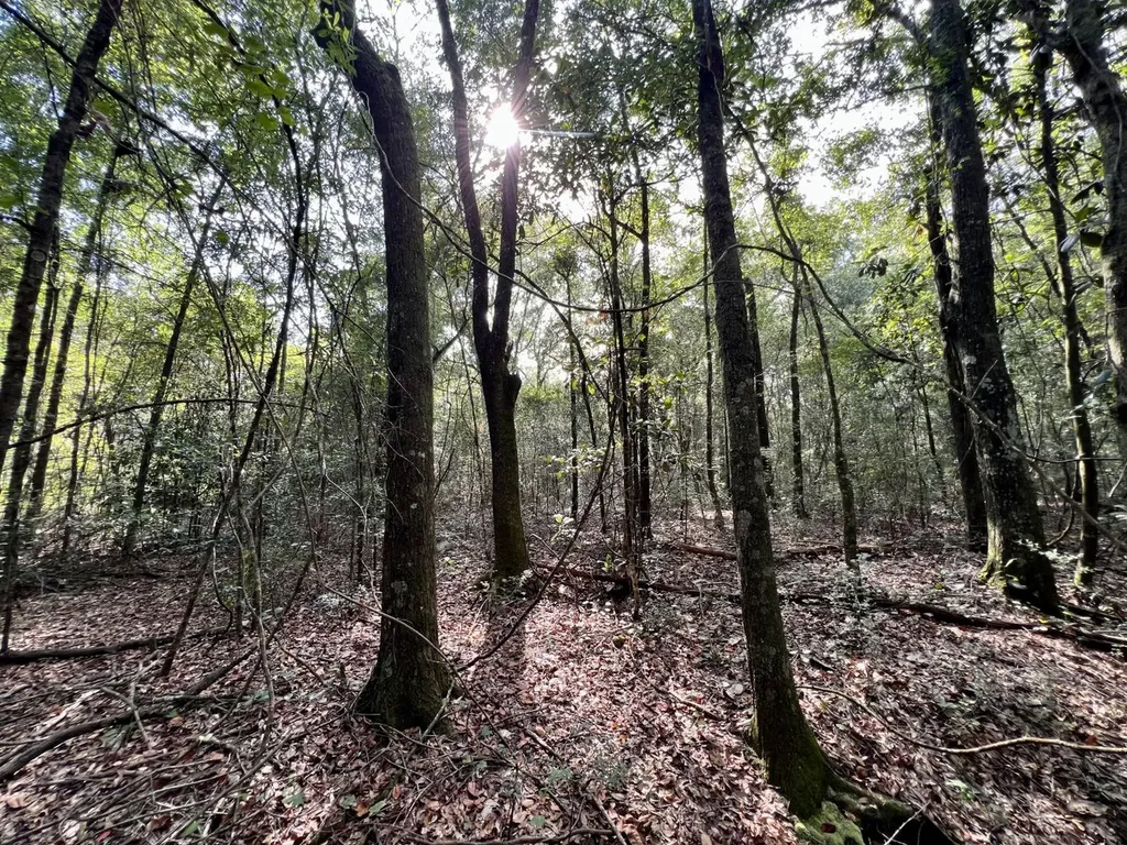 0 Bear Fork Road Mobile AL 36618