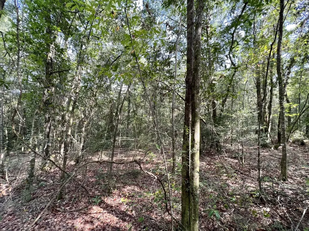 0 Bear Fork Road Mobile AL 36618