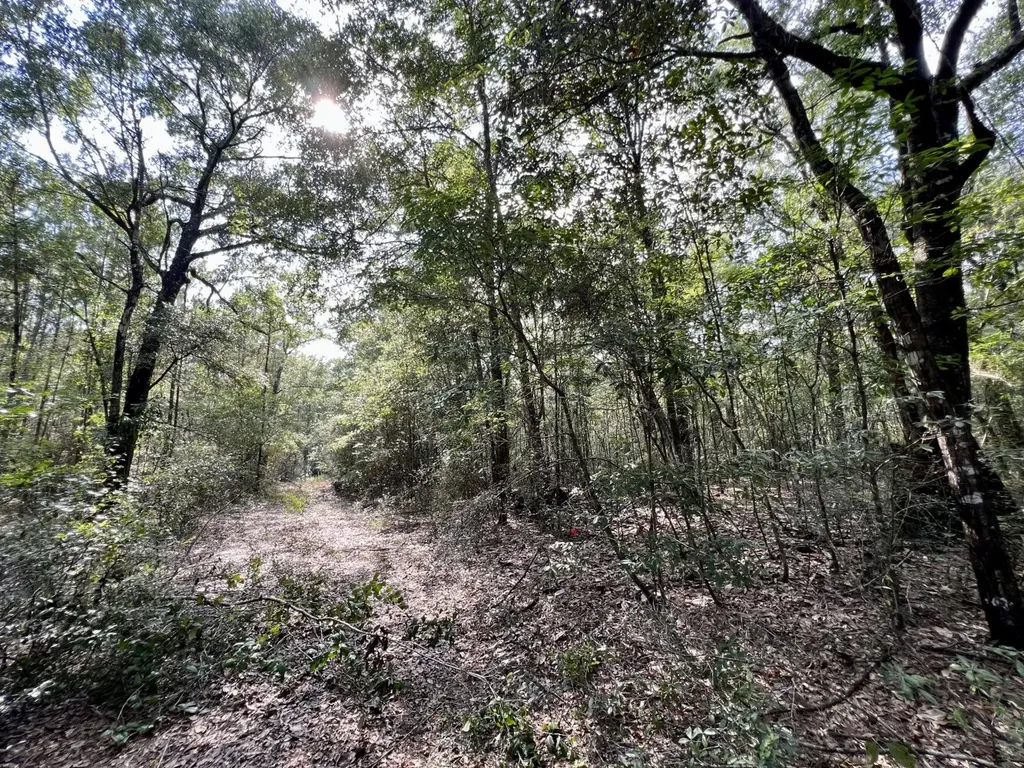 0 Bear Fork Road Mobile AL 36618