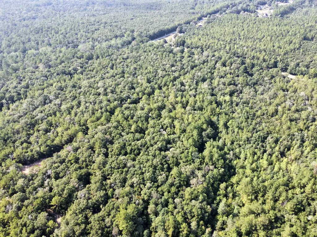 0 Bear Fork Road Mobile AL 36618