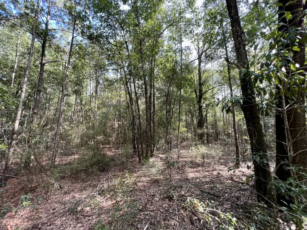 0 Bear Fork Road Mobile AL 36618