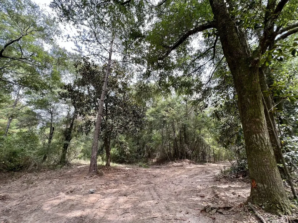 0 Bear Fork Road Mobile AL 36618