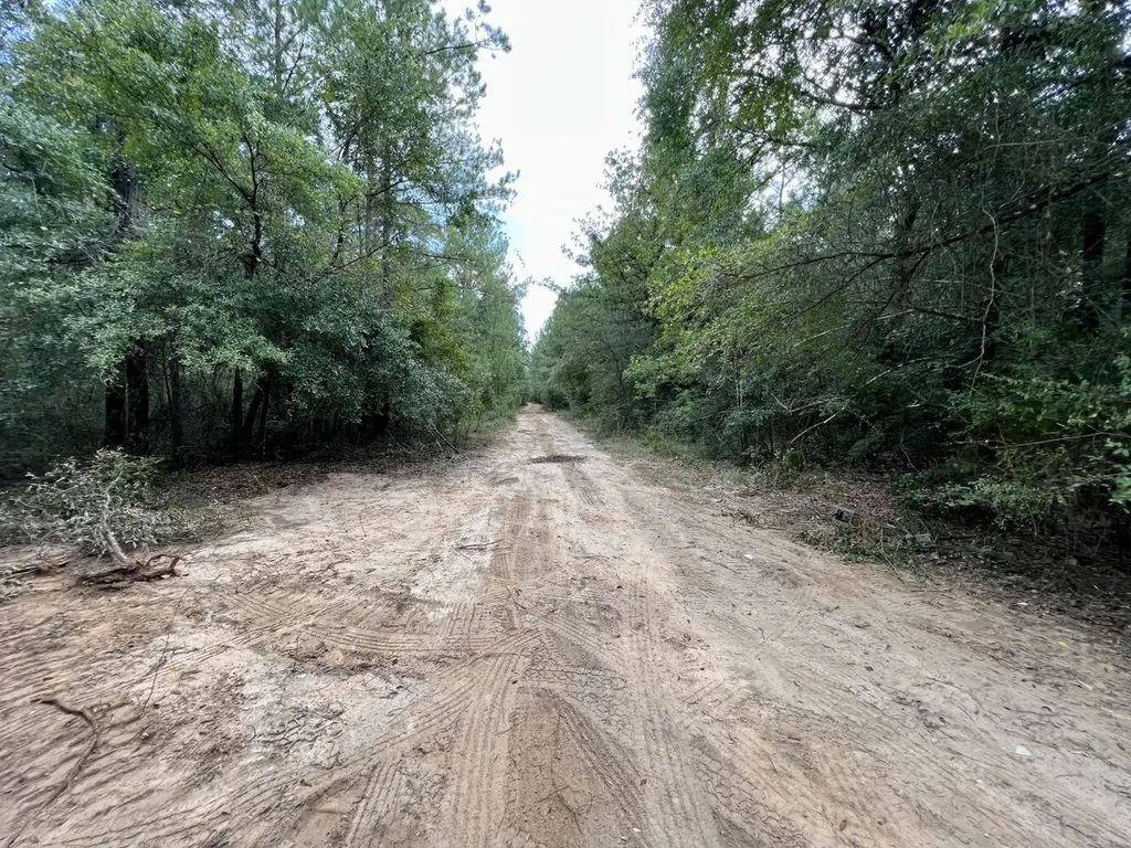 0 Bear Fork Road Mobile AL 36618