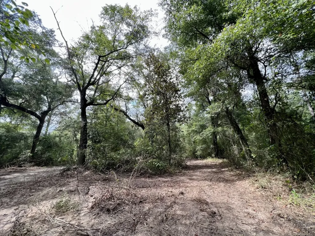 0 Bear Fork Road Mobile AL 36618