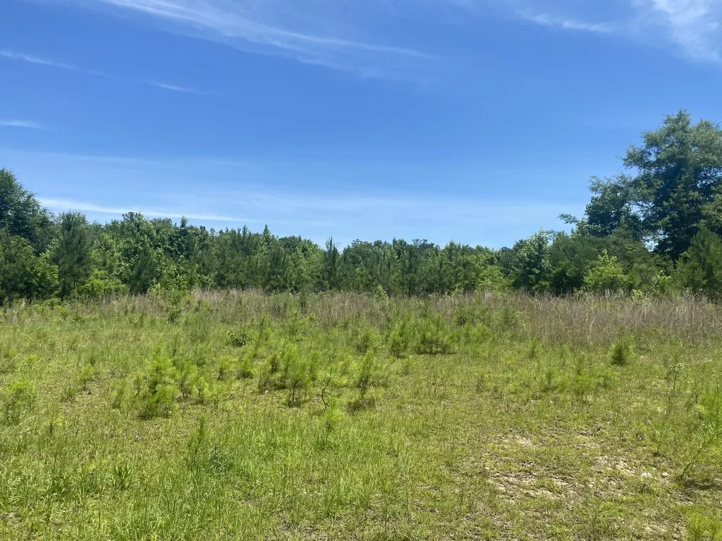1600 Mizel Road Tuskegee AL 36083