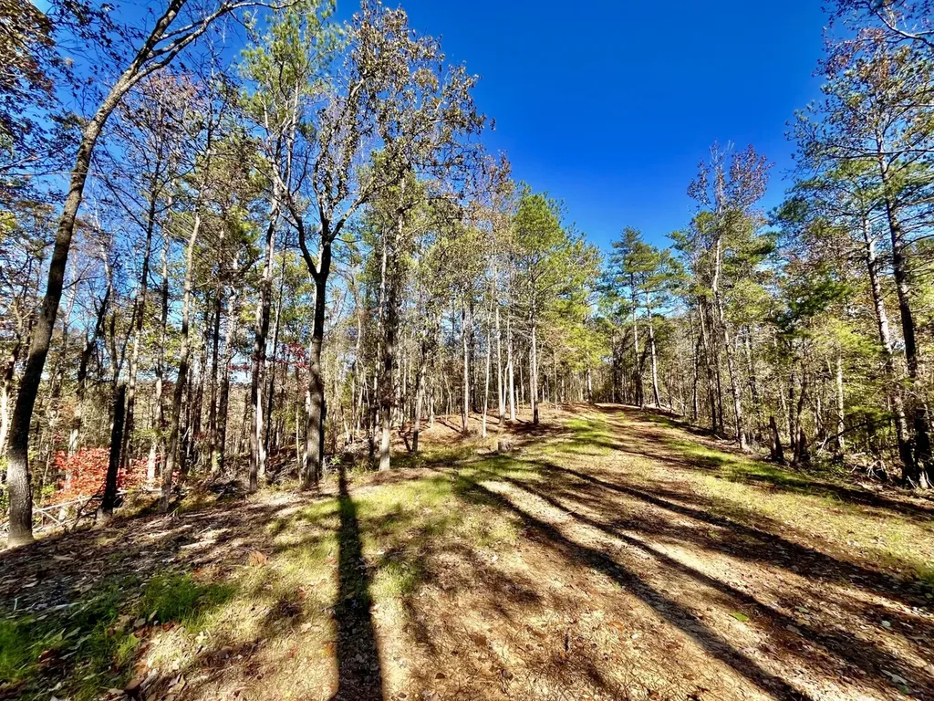 0 Mimosa Road Leeds AL 35094