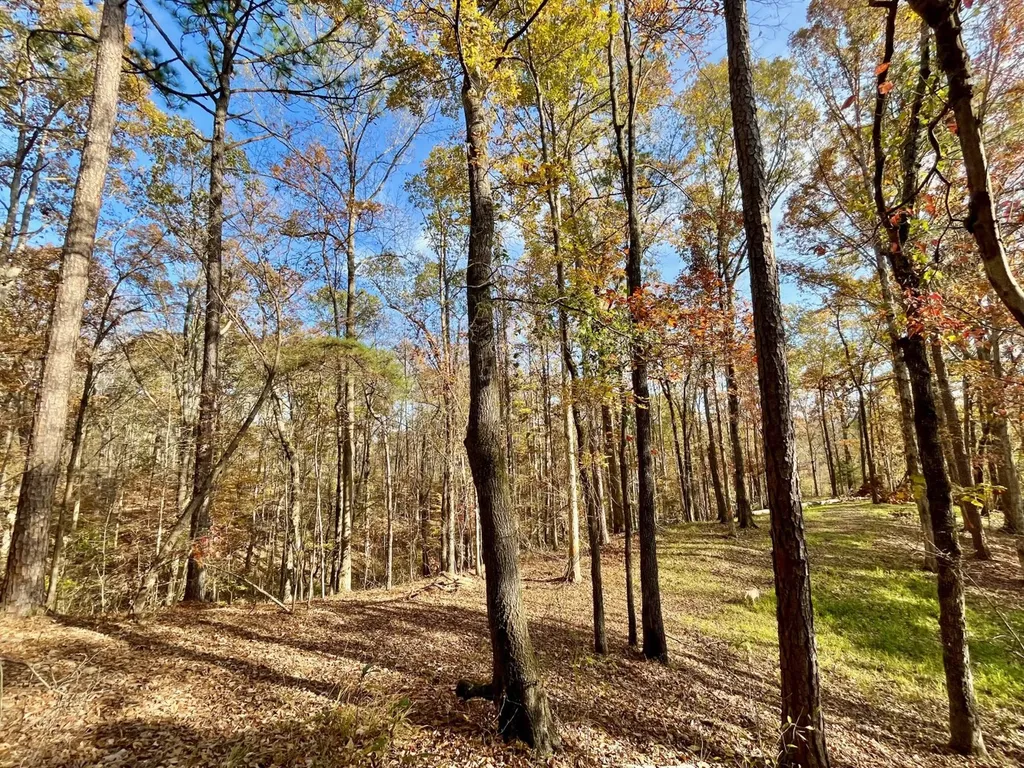 0 Mimosa Road Leeds AL 35094
