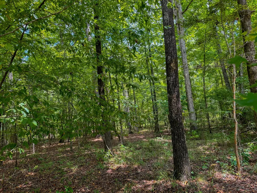 0 Troy Highway Montgomery AL 36166