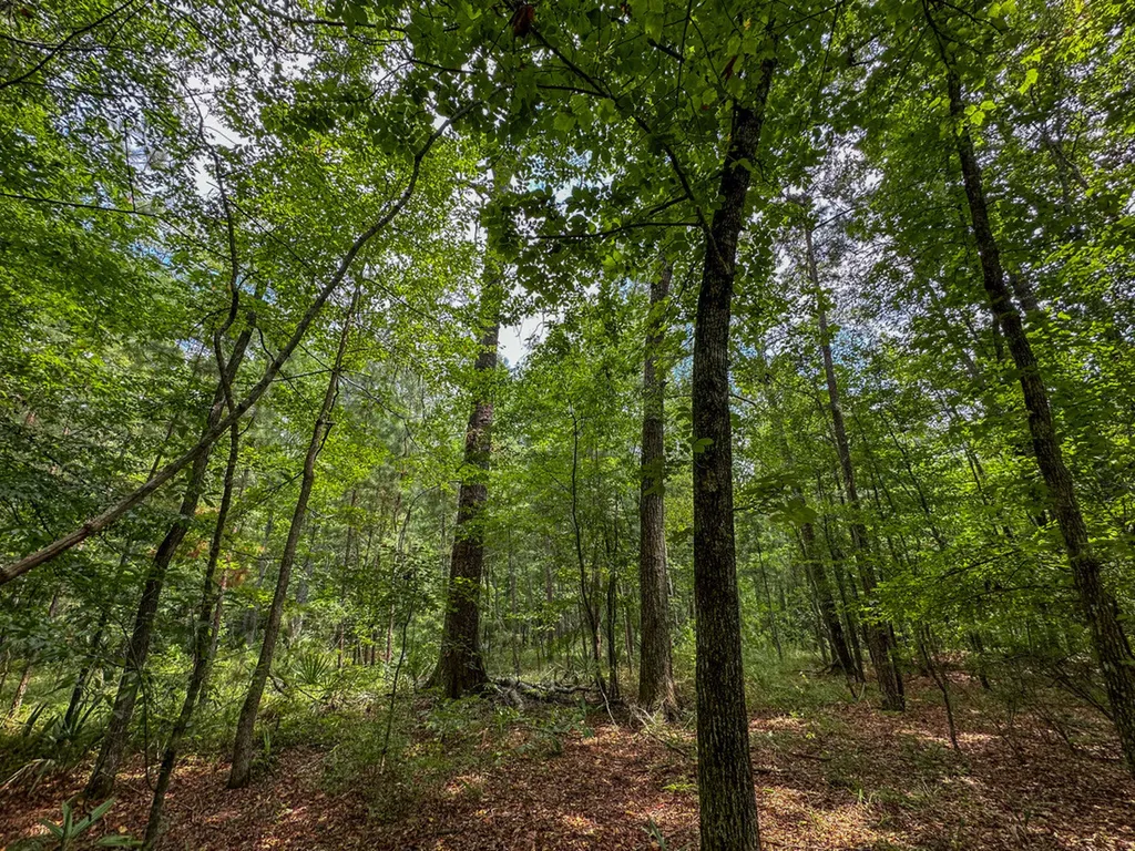 0 Troy Highway Montgomery AL 36166