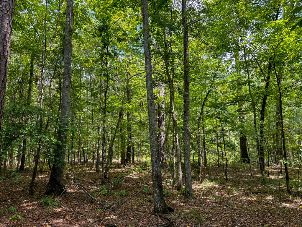 0 Troy Highway Montgomery AL 36166