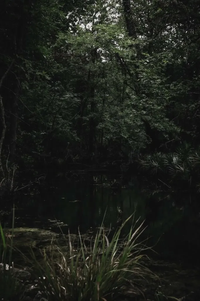 0 Troy Highway Montgomery AL 36166