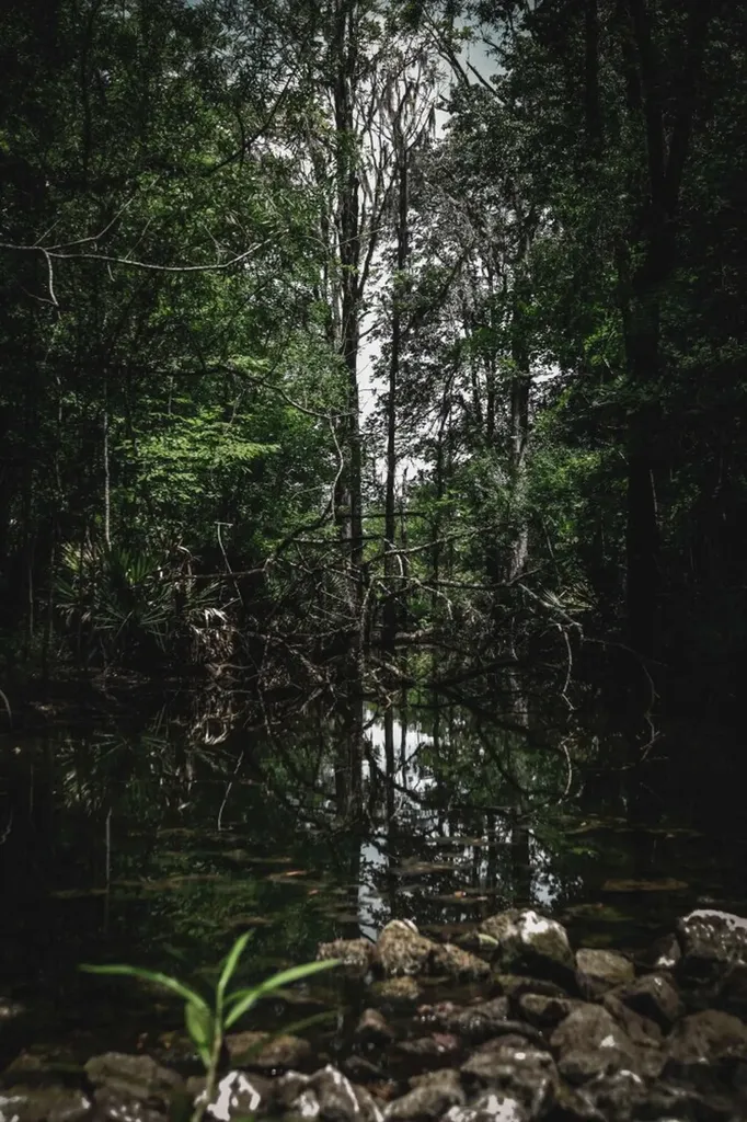 0 Troy Highway Montgomery AL 36166