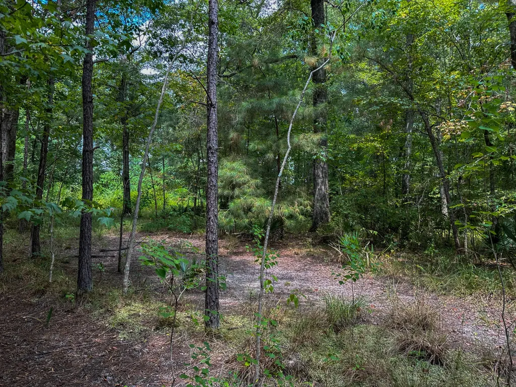 0 Troy Highway Montgomery AL 36166