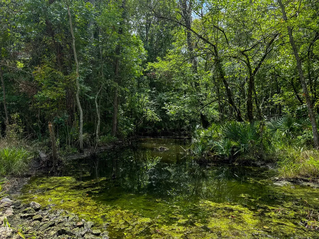 0 Troy Highway Montgomery AL 36166