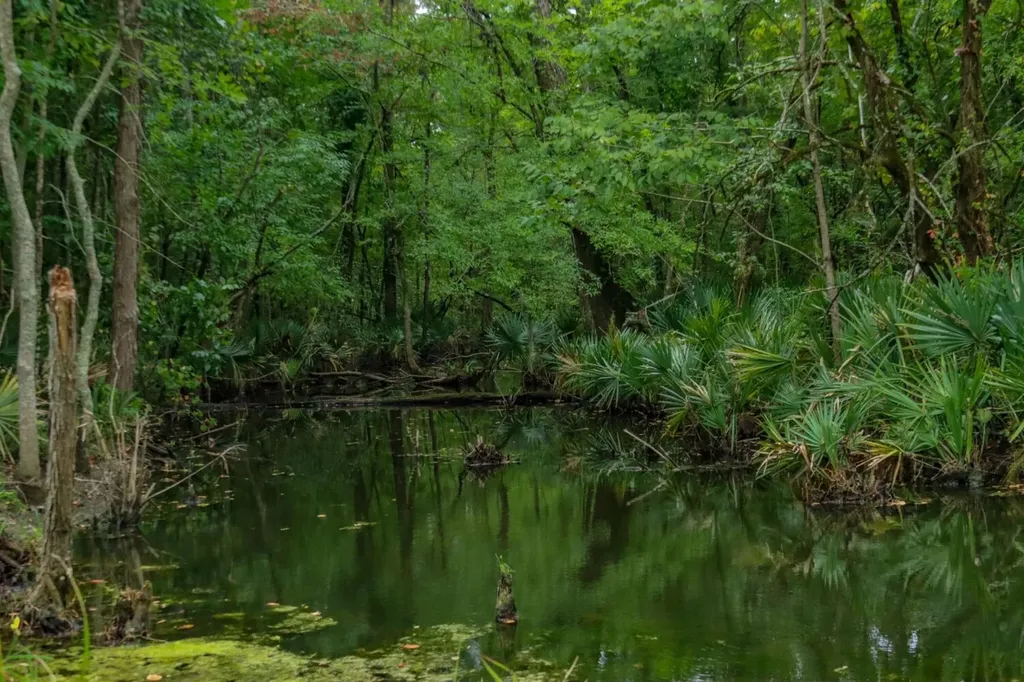 0 Troy Highway Montgomery AL 36166