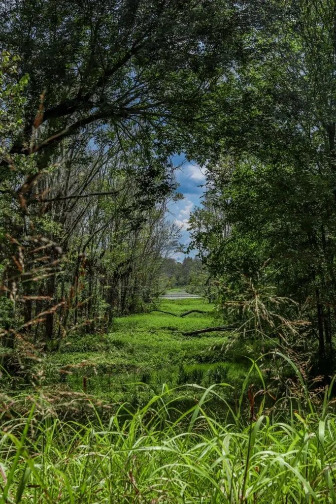 0 Troy Highway Montgomery AL 36166