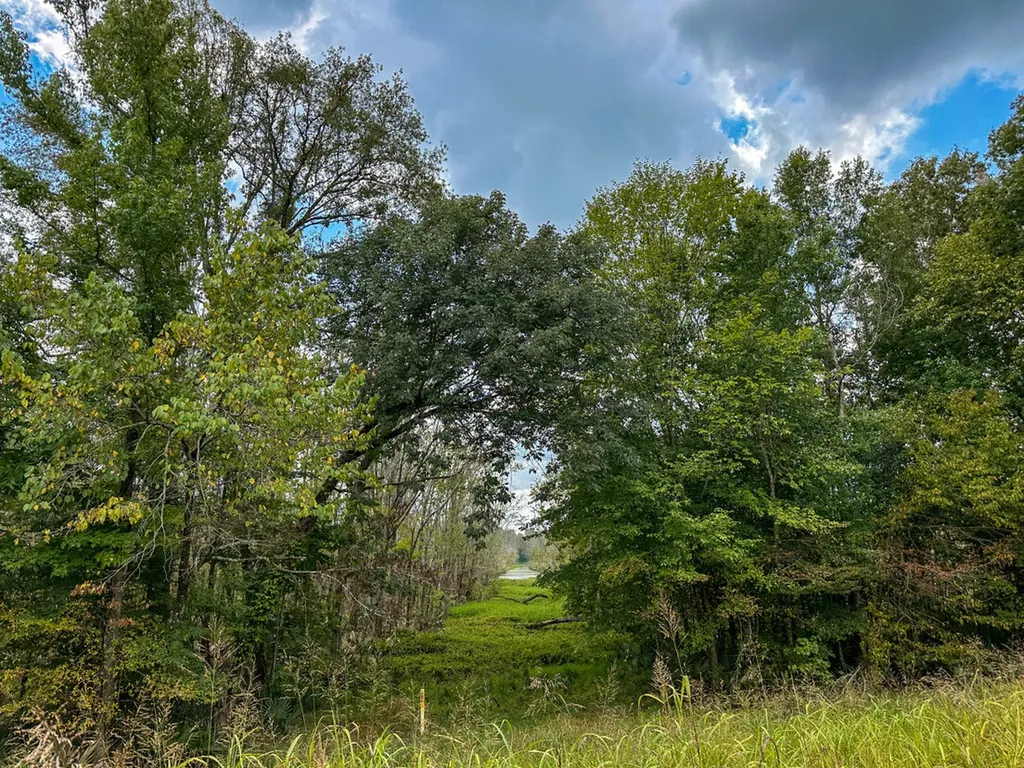 0 Troy Highway Montgomery AL 36166