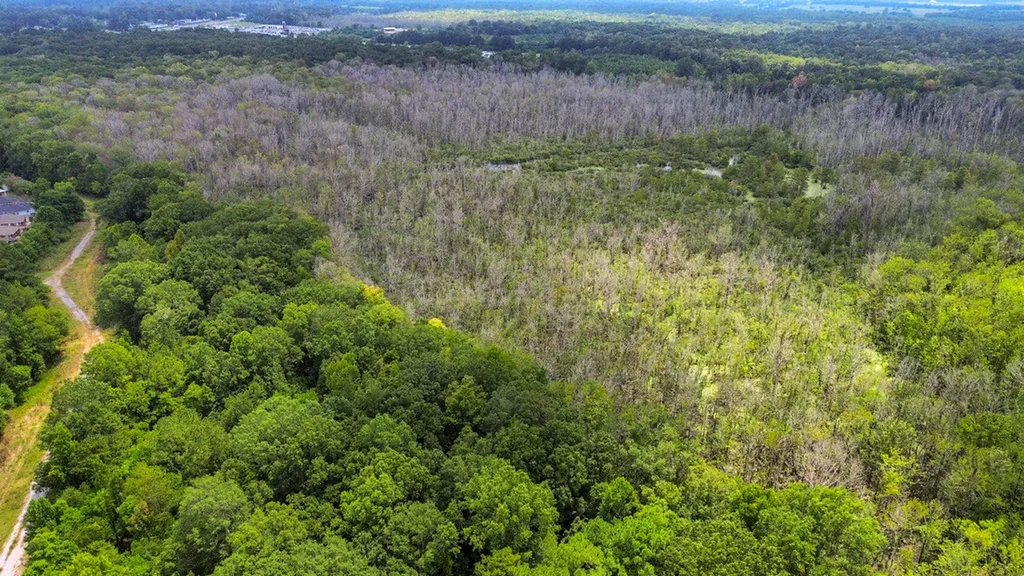 0 Troy Highway Montgomery AL 36166