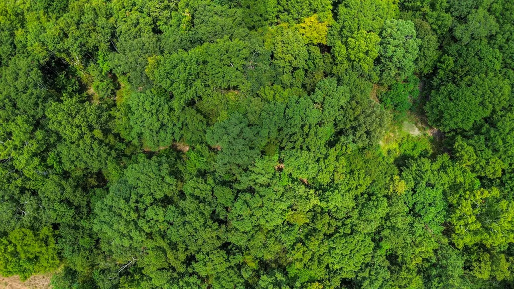 0 Troy Highway Montgomery AL 36166