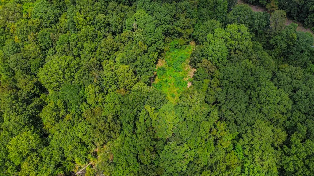 0 Troy Highway Montgomery AL 36166