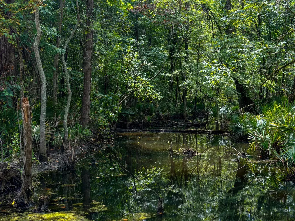 0 Troy Highway Montgomery AL 36166