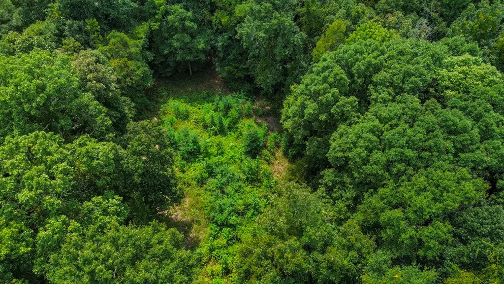 0 Troy Highway Montgomery AL 36166