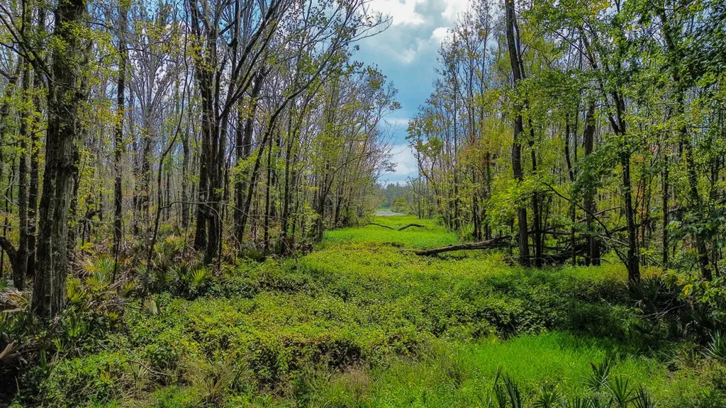 0 Troy Highway Montgomery AL 36166