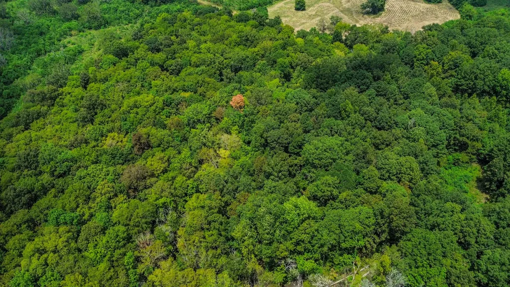 0 Troy Highway Montgomery AL 36166