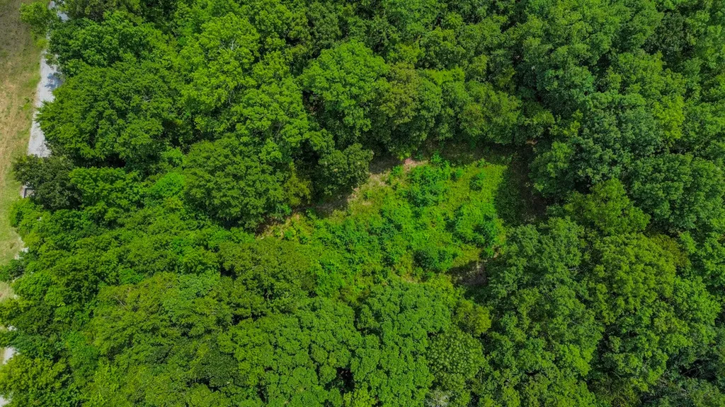 0 Troy Highway Montgomery AL 36166