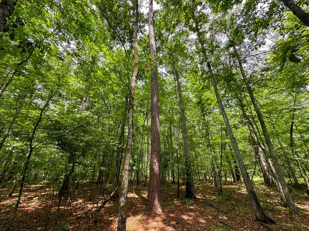 0 Troy Highway Montgomery AL 36166