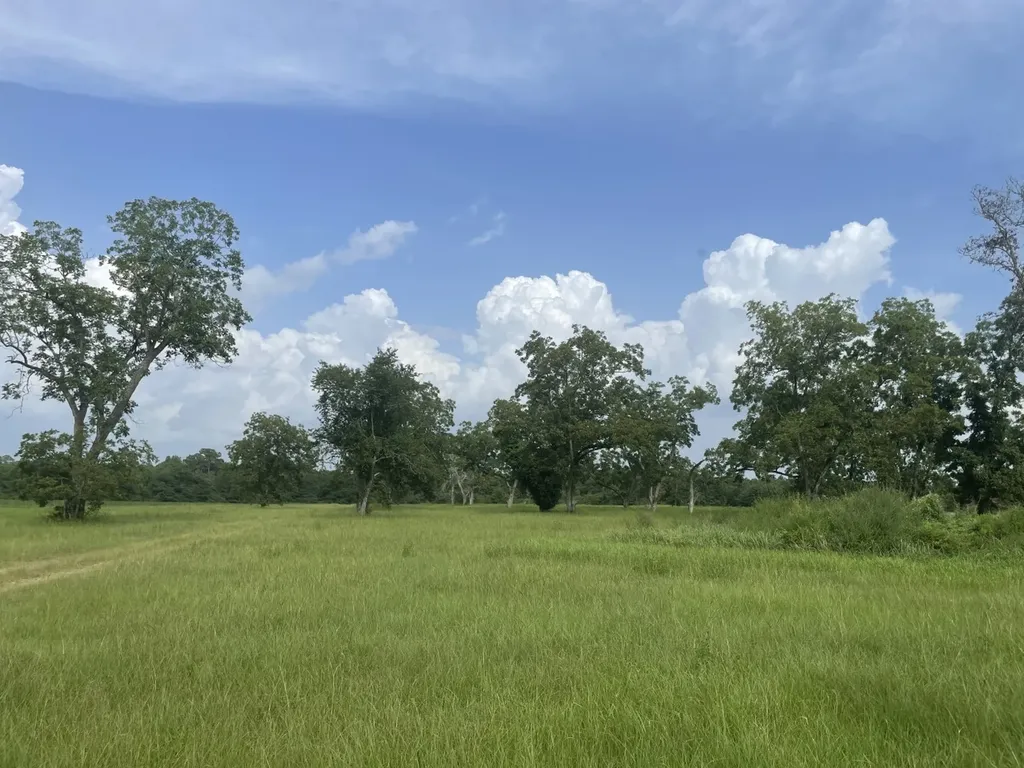 0 S Presley Street Atmore AL 36502