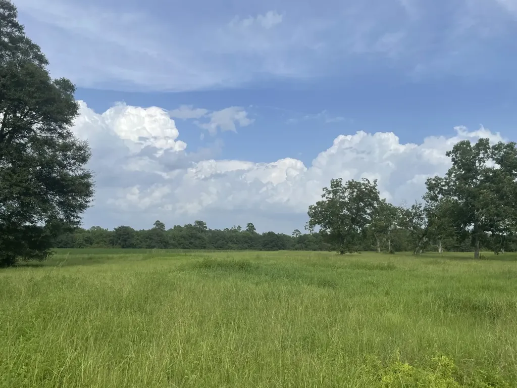 0 S Presley Street Atmore AL 36502