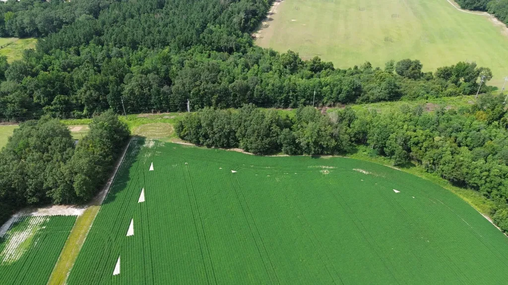 0 S Presley Street Atmore AL 36502