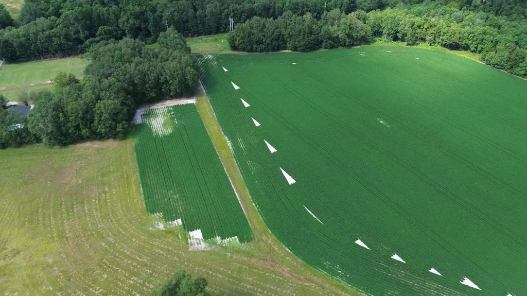 0 S Presley Street Atmore AL 36502