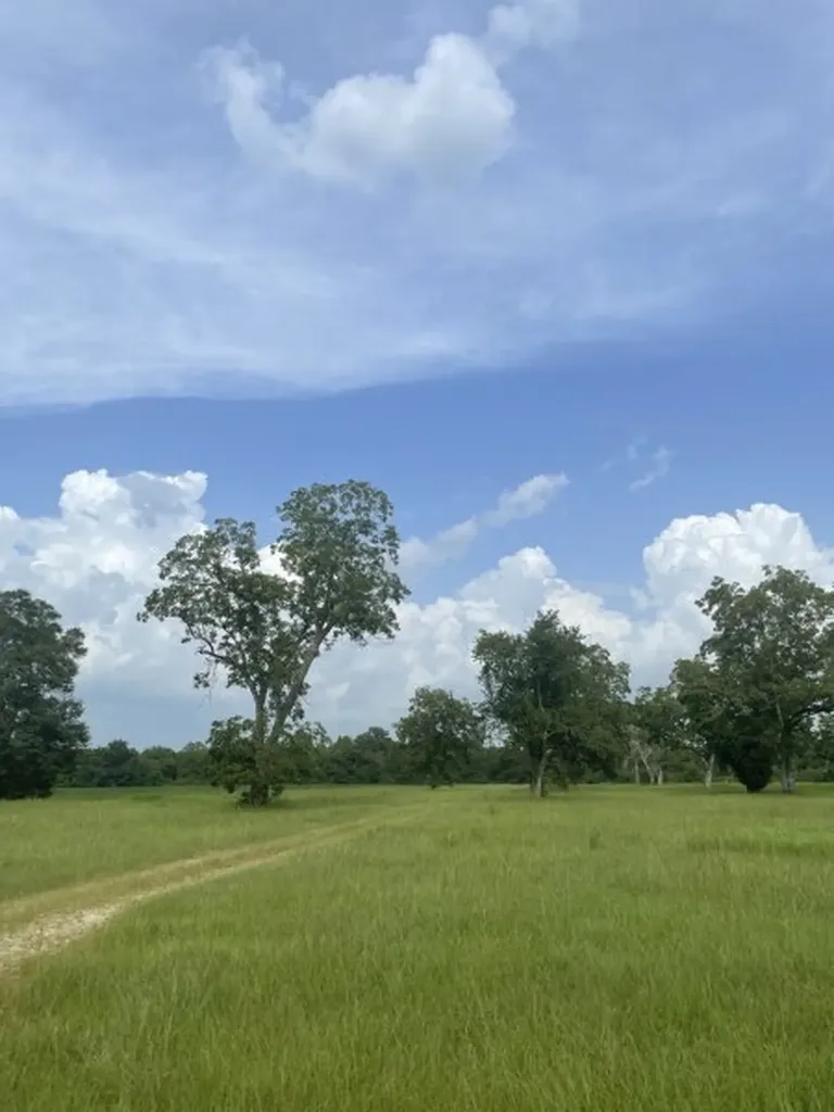 0 S Presley Street Atmore AL 36502