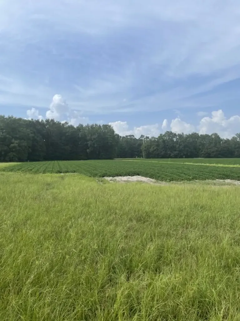 0 S Presley Street Atmore AL 36502