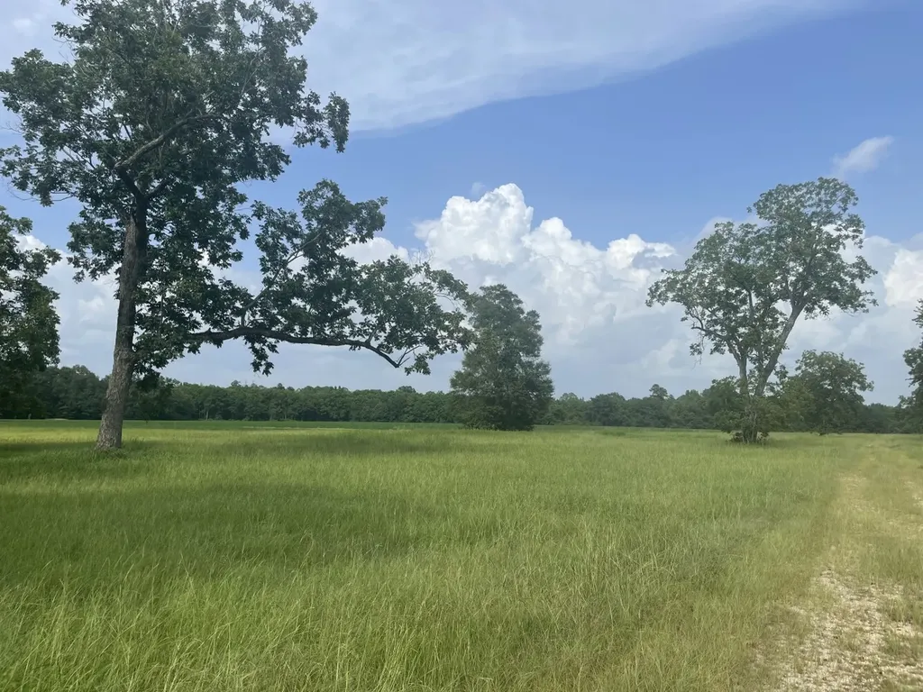 0 S Presley Street Atmore AL 36502