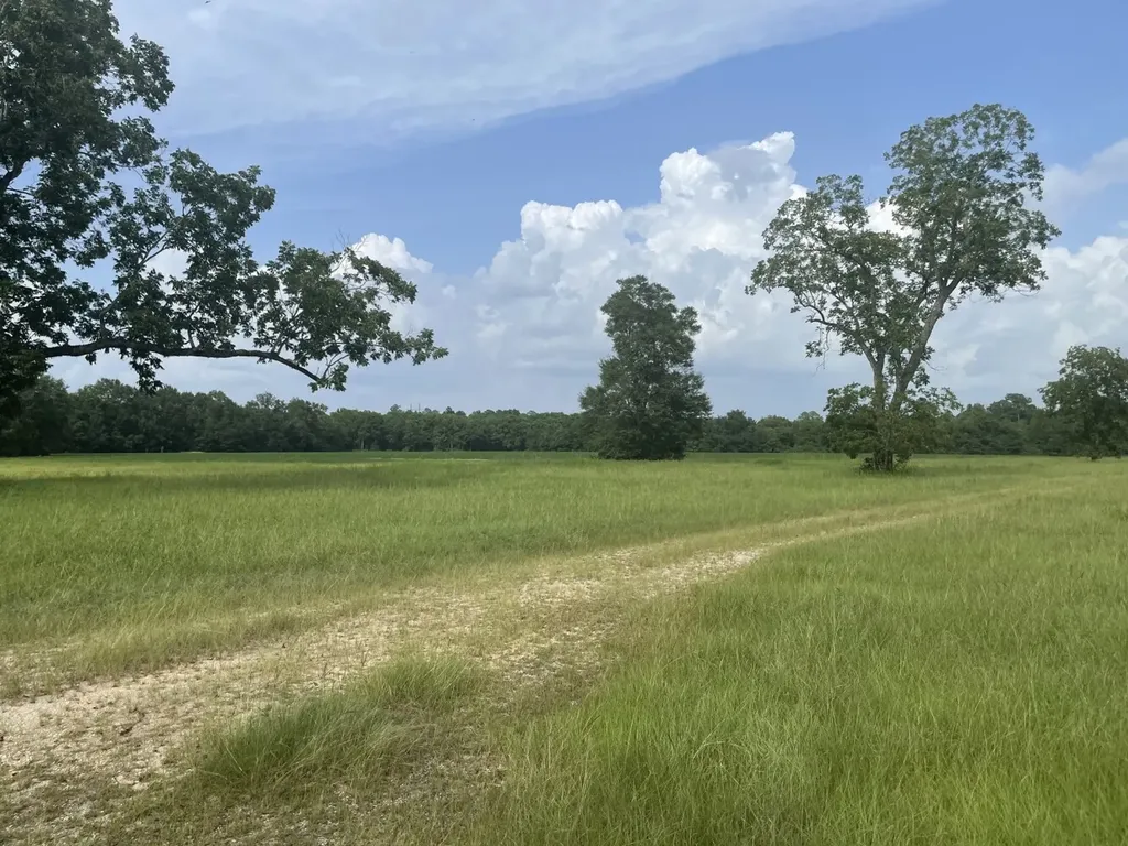 0 S Presley Street Atmore AL 36502