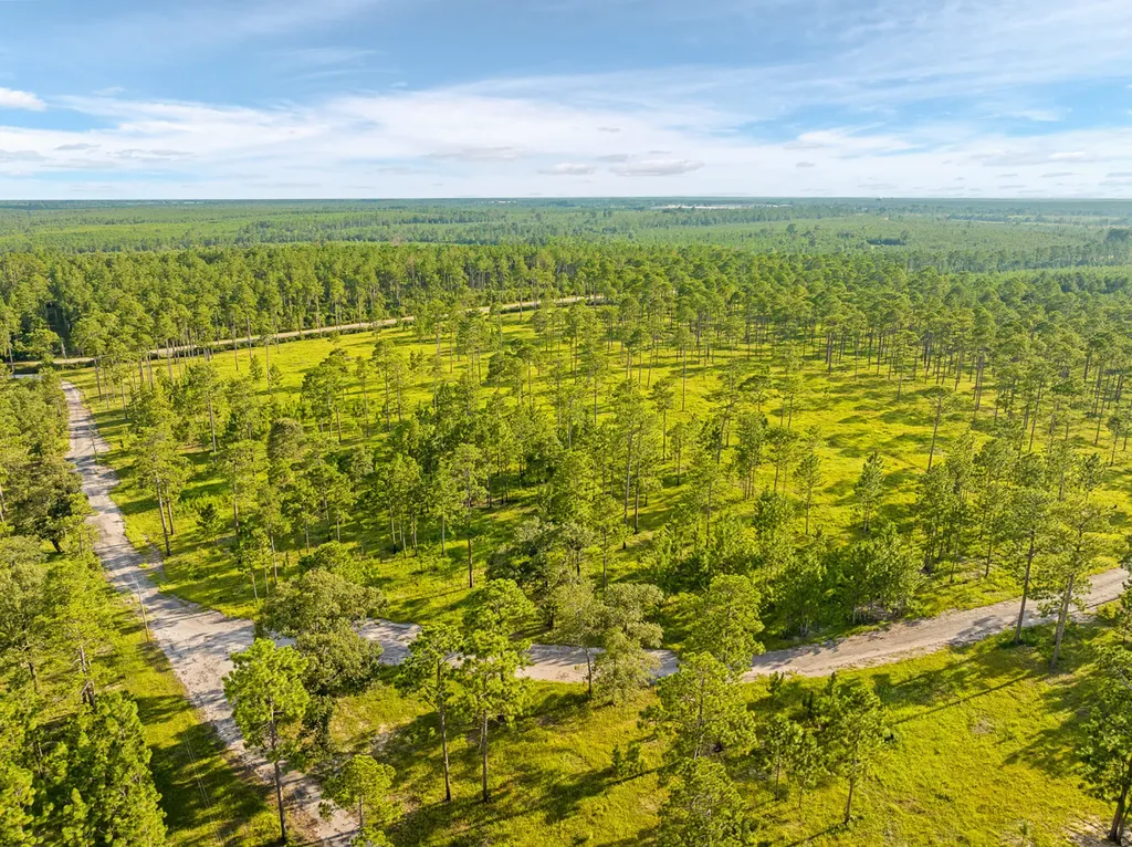 0 Steelwood Ridge Drive Loxley AL 36551